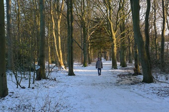 Winter auf Föhr