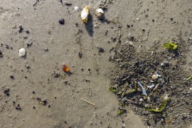 bernstein-suchen-foehr bernstein-suchen-foehr