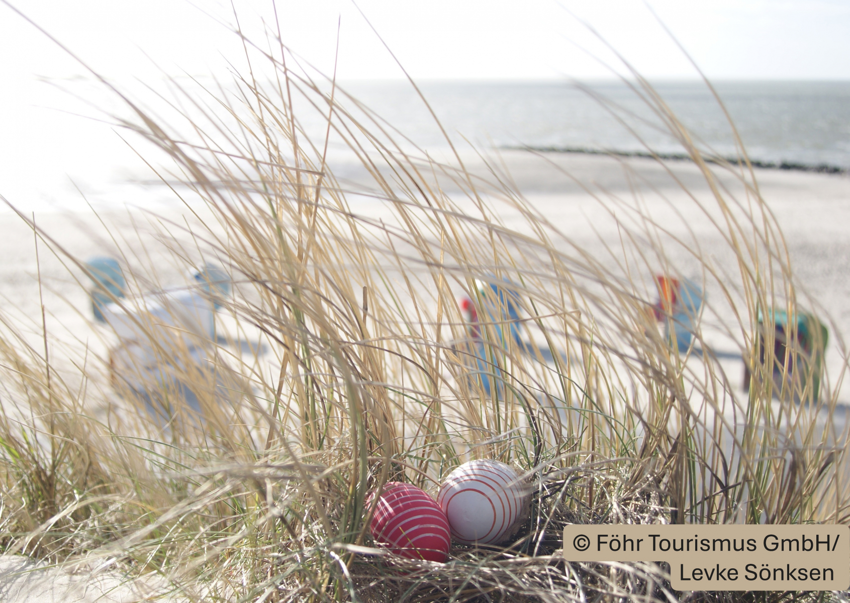 ostern-last-minute-foehr-meerzeit ostern-last-minute-foehr-meerzeit