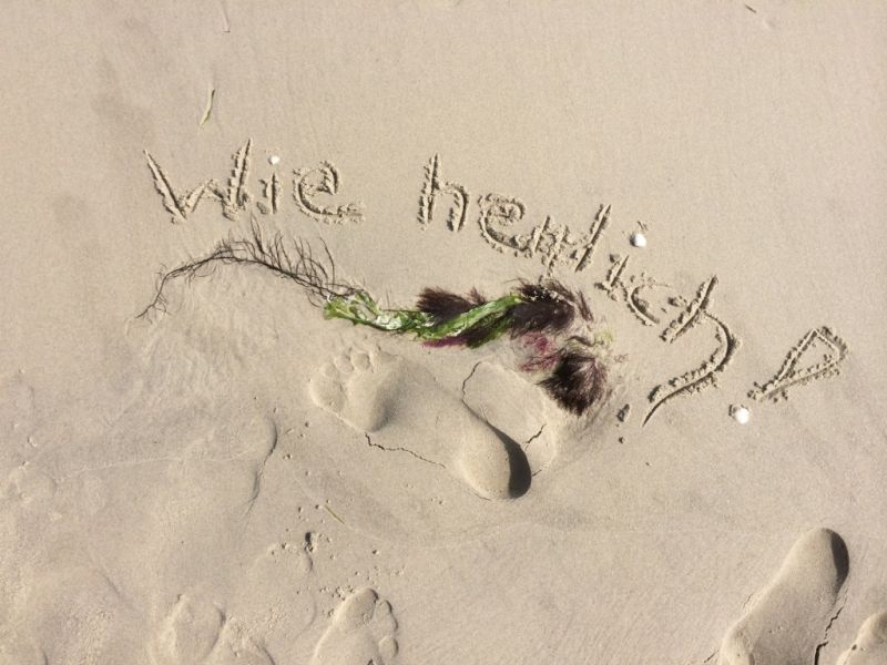 insel-foehr-strandurlaub-wattlaufen insel-foehr-strandurlaub-wattlaufen